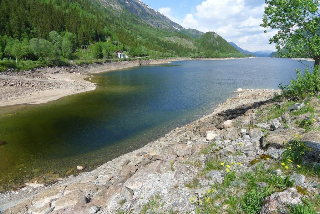 Hovedmål Redusere natur- og miljøbelastningene fra produksjon og overføring av energi.