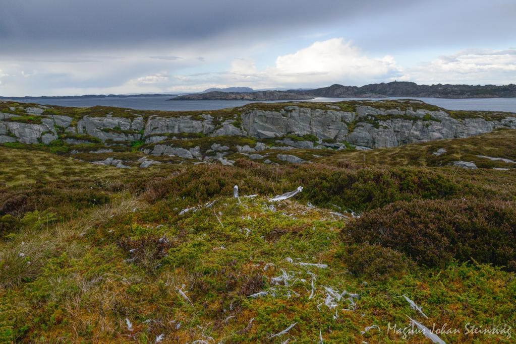 Studieområdet Kommunane Øygarden, Fjell og Sund vest for Bergen utgjer studieområdet, som dekker landareal på om lag ca. 315 km 2.