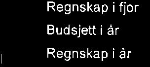 l, 't0 158 '10 210 516 10 169 10 176 40 07 713 12 I 516 e3 Driftsresultat 12s -51 I 90-58 -362-6,s Netto fìnansposter Privatuttak/eo