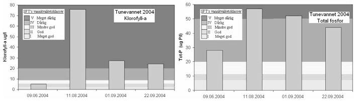 Figur 1. Tunevannet 2004. Algemengde som klorofyll-a, samt total fosfor i produksjonssjiktet. Sammenholdt med SFTs vannkvalitetskriterier Figur 2. Totalt algevolum i Tunevannet 2004 Figur 3.