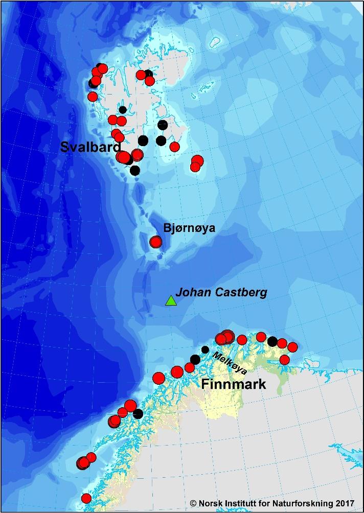 2.2 Hekkekolonier Figur 2-1 Johan Castberg (grønn trekant) og plassering av viktige hekkekolonier med over 20 000 (rød) og 10 000 (svart) hekkende sjøfugl er angitt.