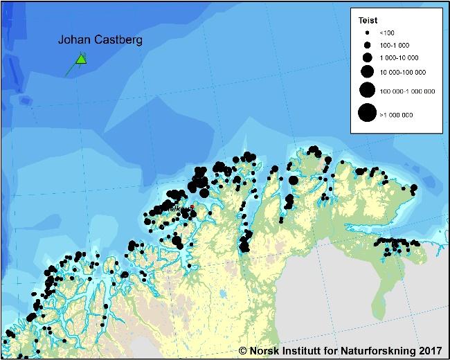 Figur 2-5 Hekkekolonier til lomvi, polarlomvi, alke, lunde, havsule og teist i Nord-Troms og Finnmark. Antall oppgitt som individer.