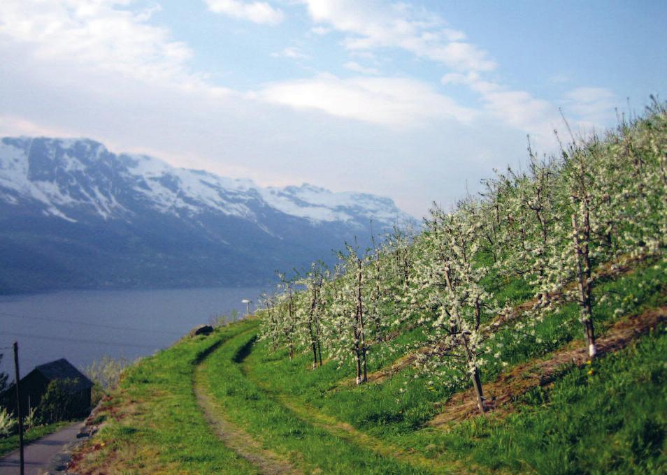 FYLKESMANNEN I HORDALAND