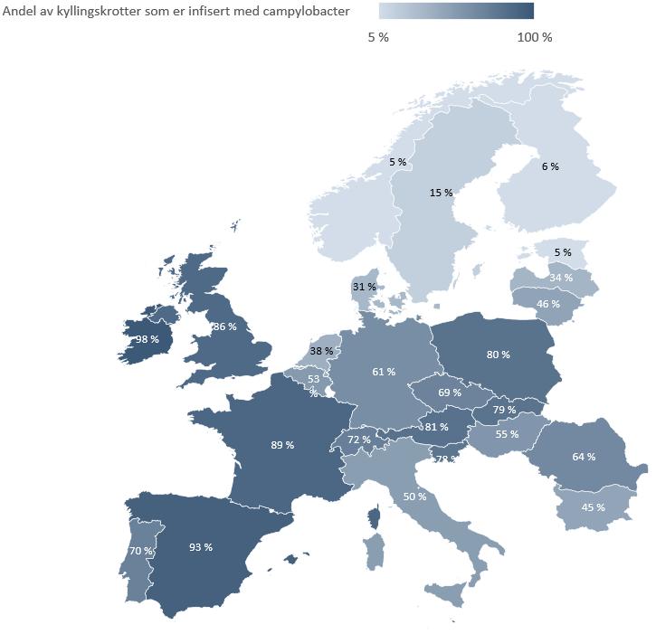 Figur 2-2: Andel av kyllingslakt som var infisert med Campylobacter i 2008. Kilde EFS, 2008 2.2. Tiltak for å begrense smitte av Campylobacter fra slaktekylling Det finnes en rekke mulige tiltak som kan og faktisk benyttes for å begrense forekomsten av campylobacteriose.