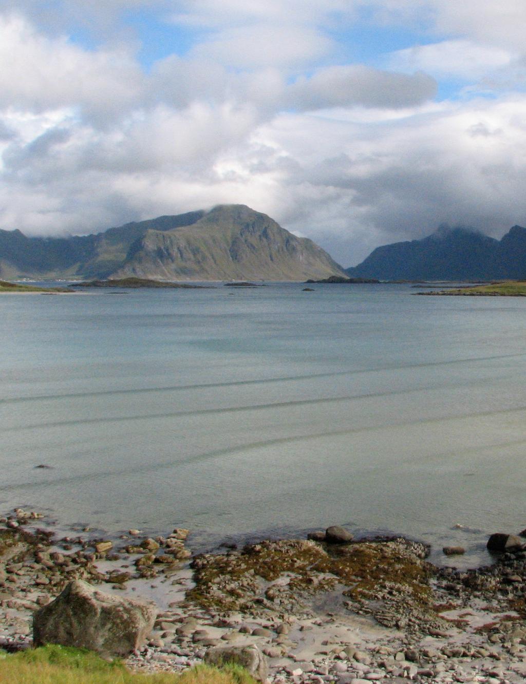 Veileder for arealdekkende kartlegging av terrestrisk naturvariasjon etter NiN i målestokk 1:5 000 og 1:20 000 Kort versjon (2.1.0b) ANDERS BRYN & HEIDRUN A.