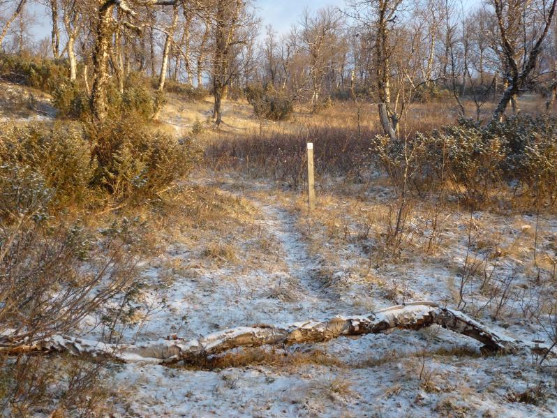 4. Viktige utviklingstrekk i kommunen Os kommune er den nordligste kommunen i Hedmark fylke, og strekker seg fra Femunden i øst til Forollhogna i vest, en avstand på over 8 mil.