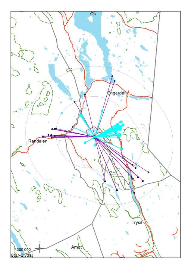 veiinngrep er mer overfladisk kjent, mens den planlagte framdriften ikke er alminnelig godt kjent. (Jfr Tabell 40) 28.