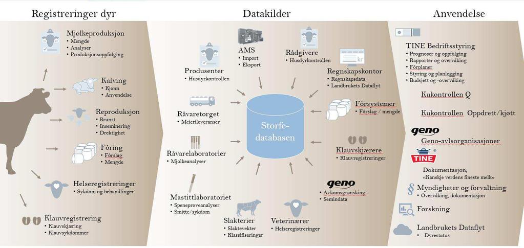 STATISTIKKSAMLINGEN 2016 Kukontrollen er tilgjengelig for alle landets mjølkeprodusenter og oppdrett/storfekjøttprodusenter.