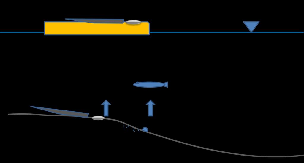 Figur1: Fordeling av kvikksølv mellom ulike faser: Metallisk kvikksølv i sedimentet omdannes til ionisk kvikksølv eller til metylkvikksølv.