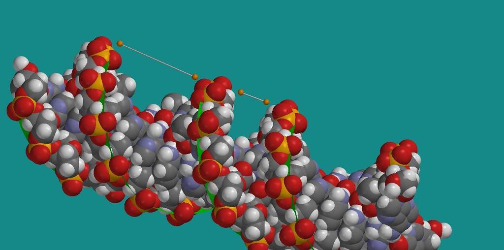 Dette ser ut til å være en lengde som omtrent tilsvarer diameteren i B-DNA. Med B-DNA plassert med dobbelspiralen i planet, ser vi to tydelige kløfter.