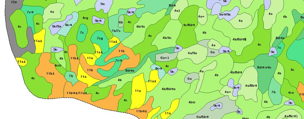 Detaljert kontroll av kartlagte grenser uten å se på hovedtrekkene i vegetasjonen vil kunne vise forhold som lett oppfattes som feil.