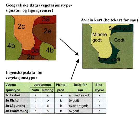 2.4 Bruk av vegetasjonskart Temakart: Informasjonen som ligger i vegetasjonskartet kan være tungt tilgjengelig uten botanisk og økologisk kunnskap.