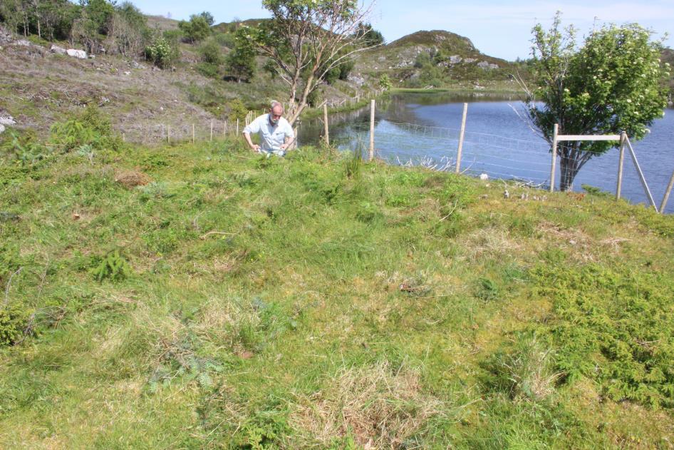 hogst  Smågevatnet sør om Grønhaugen