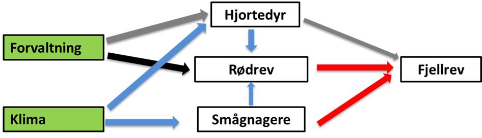 1. Innledning Prosjekt Fjellrev i Finnmark har pågått siden 2004.