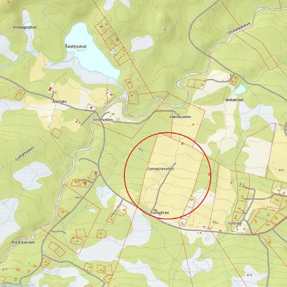 Lokalitetsnavn: Tomastrøvollen på Ølslykkja Kommune: Etnedal Gnr/Bnr: 141/1 UTM: 32N 675