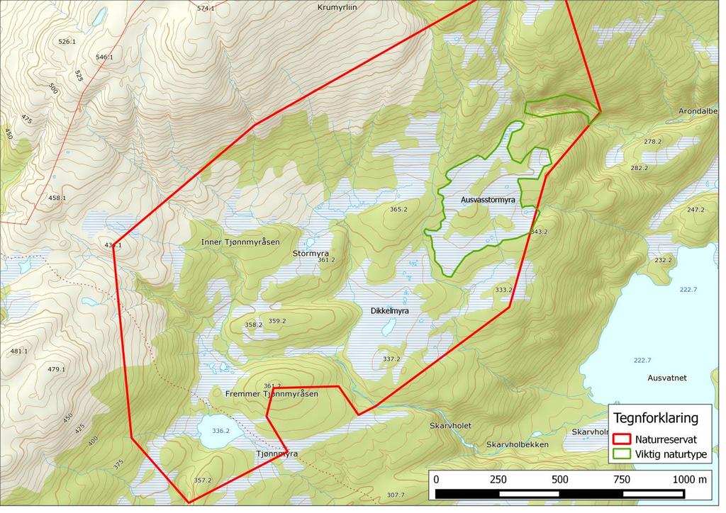 Figur 3. kartet viser registrerte naturtyper og nøkkelbiotoper (grønn linje) i Ausvasstormyra naturreservat. 4.