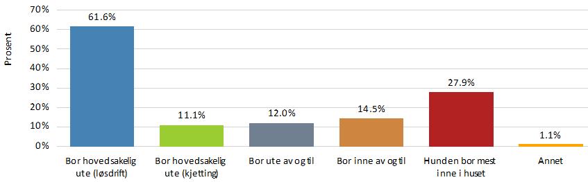 Hvor bor hunden?