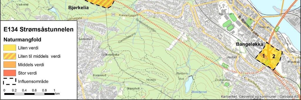 Planforslaget På Bangeløkka har planen ingen konsekvens for naturmangfold. Tiltaket gir ikke direkte inngrep i parken.