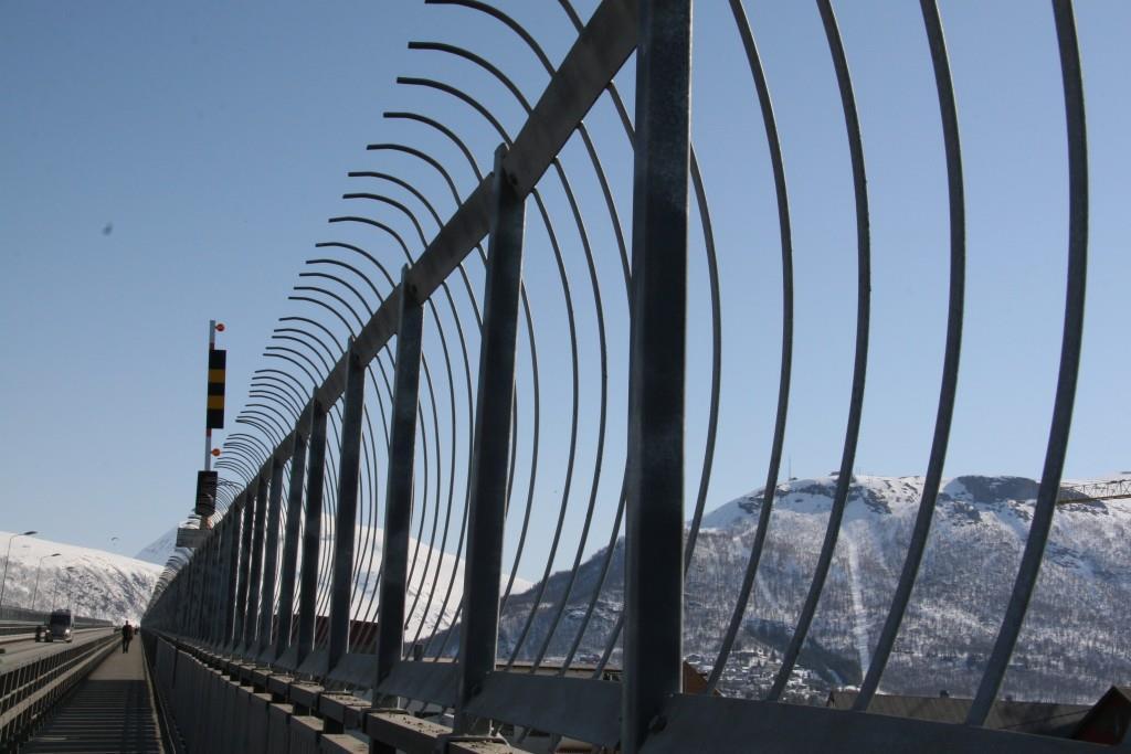 Registreringene av selvmordsatferd på begge bruene i 10 år, bidratt til diskusjoner i Tromsø, både blant politikere, i media og blant fagfolk, om det vil være hensiktsmessig med en sikring av