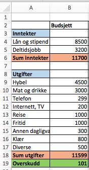 REGNSKAP En oversikt over