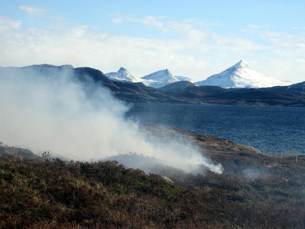 Brenning kystlynghei, Skeisnesset,