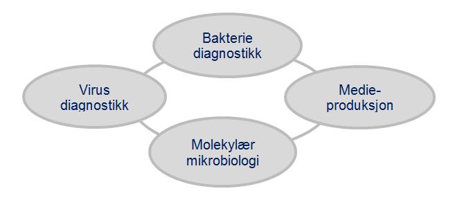 4.7.2 Medisinsk mikrobiologi Funksjonen medisinsk mikrobiologi vil i stor grad kunne ivareta sine oppgaver fra Våland i BT1. Det planlegges kun med tilrettelegging for hurtigdiagnostikk på Ullandhaug.