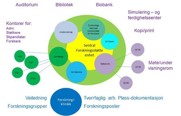 Allerede i dag er det behov for å øke utdanningen av sykepleiere betydelig.