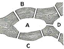 a, c, d, b, a er en lukket vei a, c, d, e er en åpen vei.