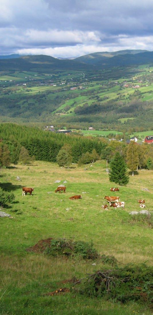 9 jord gir levende bygder Jordbruksarealene er grunnlaget for hele jordbruksnæringa og den landbaserte næringsmiddelindustrien. Disse næringene danner bærebjelken i mange bygdesamfunn.