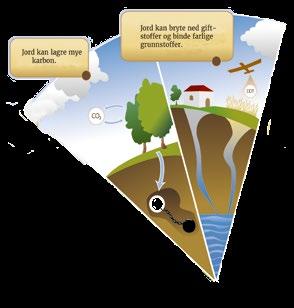 Vann filtrert gjennom jord med delvis plantedekke, fullt plantedekke eller uten plantedekke. Jord med fullt plantedekke renser vann effektivt.