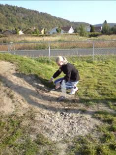 Det er ikke registrert CCA-impregnert trevirke i kantstokker rundt sandbasseng og lekeapparater. Det er ikke registrert kreosotimpregnert trevirke i barnehagen.