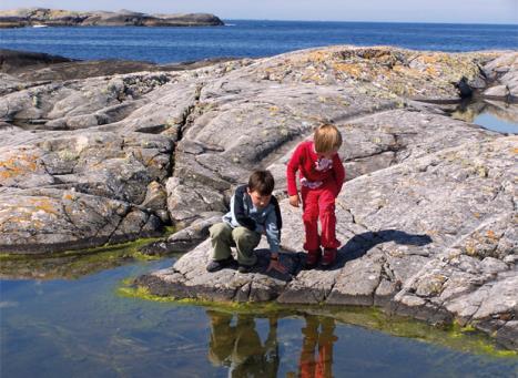 Arealforvaltning i kystsonen (BIONÆR, MILJØFORSK,