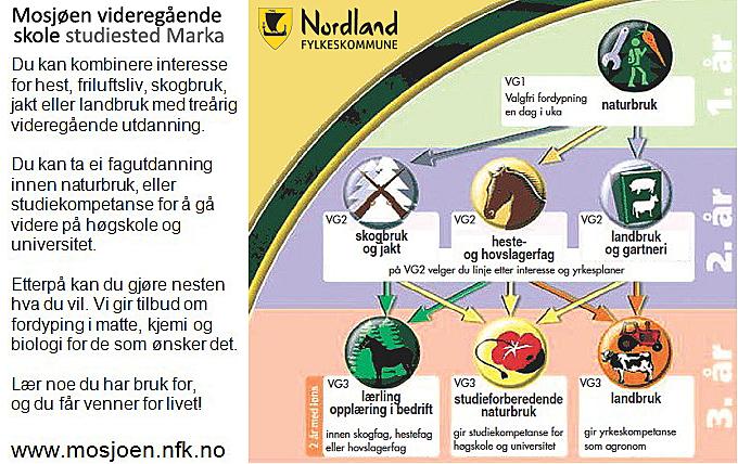 RABATTEN DEKKER KOSTNADEN Som kunde i If får du rabatt på brannforsikringen på de husene som