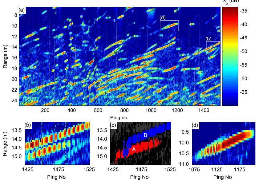Estimating tailbeat frequency Handegard et al.