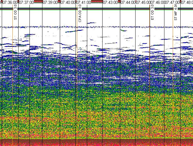 Buoy confirmation: pollock react differentially to OD and MF (Sh 25 m MF approaches OD approaches Depth 75 m 125 m 175 m -300 sec (1 nmi) CPA (arrival)