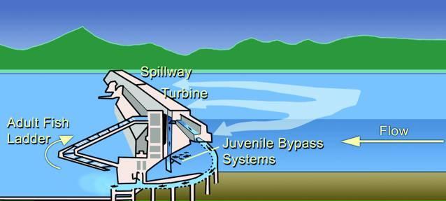 Hydro power development for peaking and load balancing (HYDROPEAK) in a European system with increasing use of non-regulated renewables