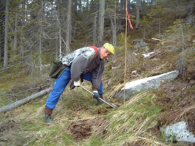 klargjøring av plantefelt vegetasjonskontroll