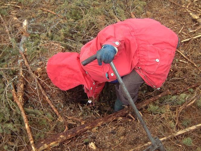 Eget arbeid Midler på skogfondet kan brukes til å