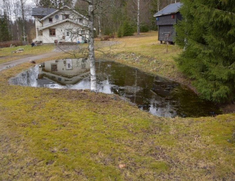 2.1.1 Åklangengdammen Åklangengdammen (UTM 33V 340242 6666111, figur 4) har et areal på 200 m 2 og befinner seg på gårdsbruket Åklangenga.