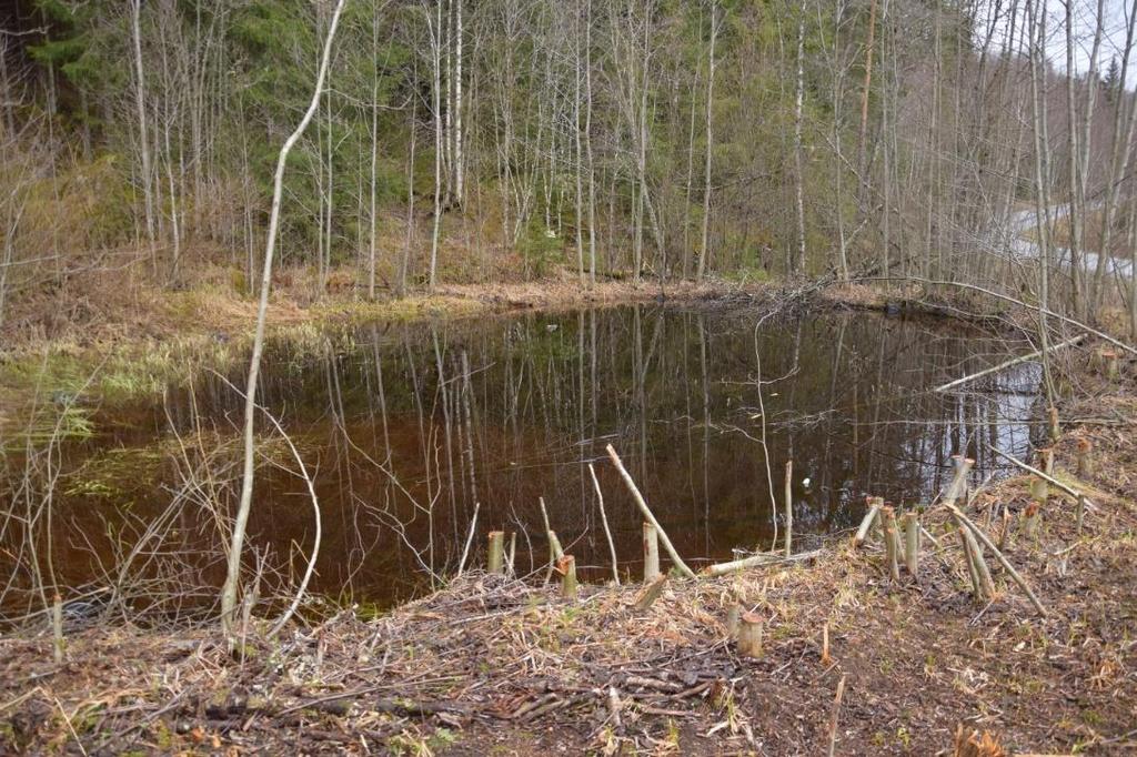 2.1.3 Øverbydammen Øverbydammen (UTM 33V 340462 6666873, figur 6) har et areal på 200 m 2 og ligger helt inntil en veg. Den er omgitt at blandingsskog, men denne er tynn mot vest og nord.