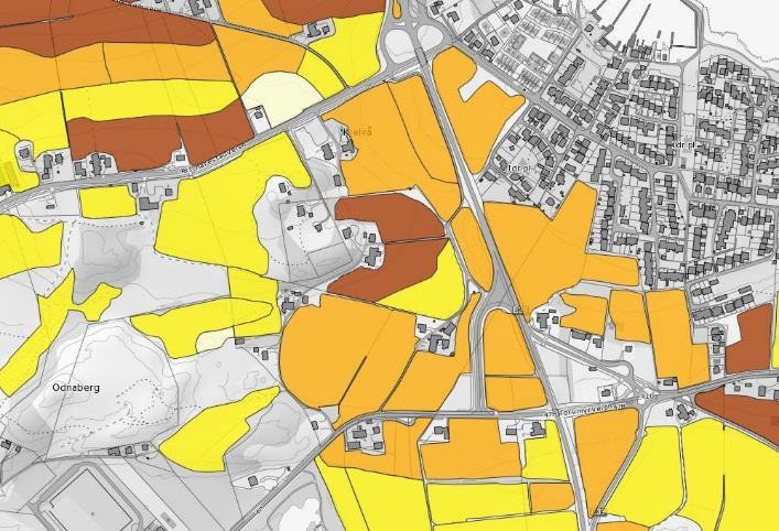 Langsiktig grense mot landbruk ligger langs Torvmyrveien og Harestadveien. Planområdet består for det meste av fulldyrka jord med god jordkvalitet. Dette gir mulighet for etterbruk av matjorden.