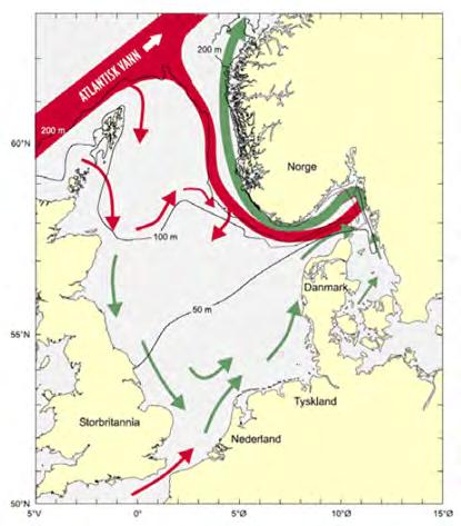 3.2.2 Kyststrømmen preger vannkvaliteten på Agderkysten Den Norske Kyststrømmen starter øst i Skagerrak og strømmer nærmest som en elv vestover (Figur 7).