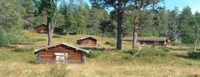 På denne turen får du innblikk i forholdet mellom mennesker, dyr og natur i nasjonalparken. Utgangspunktet for turen er parkeringsplassen ved Gutulisjøen.