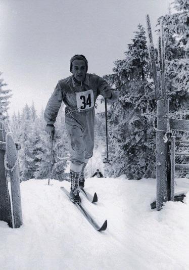 Sjumilskogen Bildegruppe er den eneste fotoklubben i Trysil, og holder møtene sine i Søre Osen Gratis inngang i bibliotekets åpningstid.