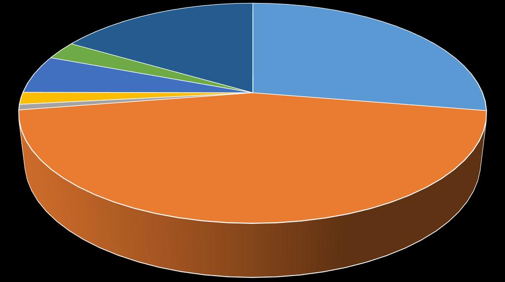 ØKONOMI FOR OPPVEKSTFELTET Andel budsjett 3% 6% 1% 2% 17% 28% 45% Barnehage Skole