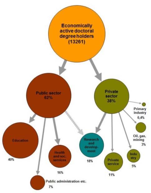 Figuren nedenfor viser de økonomiske sektorene som sysselsetter de som har doktorgraden fra Norge.