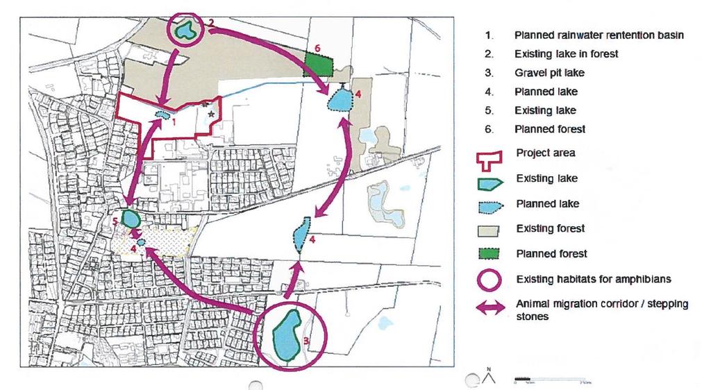 Figur 66. Punkt 1 i tegningen er Lyngefeltet. Planen er at det skal tilrettelegges for at amfibier har vandringsmuligheter mellom flere små vann og vassdrag.