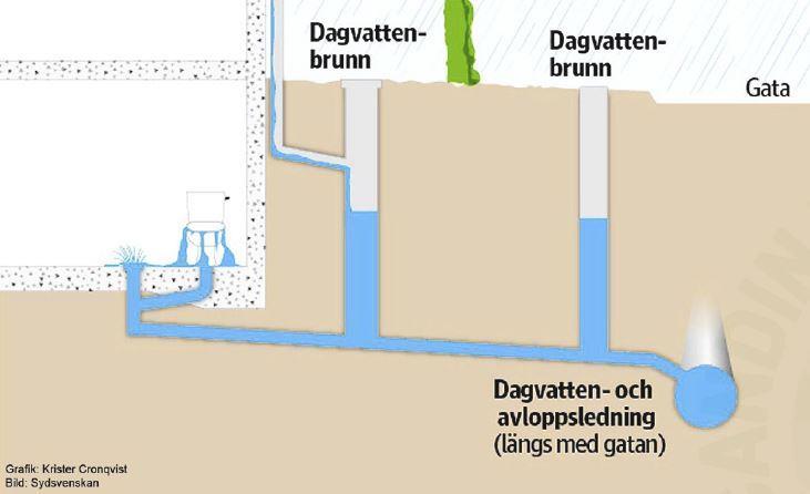 7 Befaring på Augustenborg i Malmø Scandinavian Green Roof Institute (SGRI) er kompetansesenter for grønne tak og grønne vegger (mer fra fig. 84 og videre).