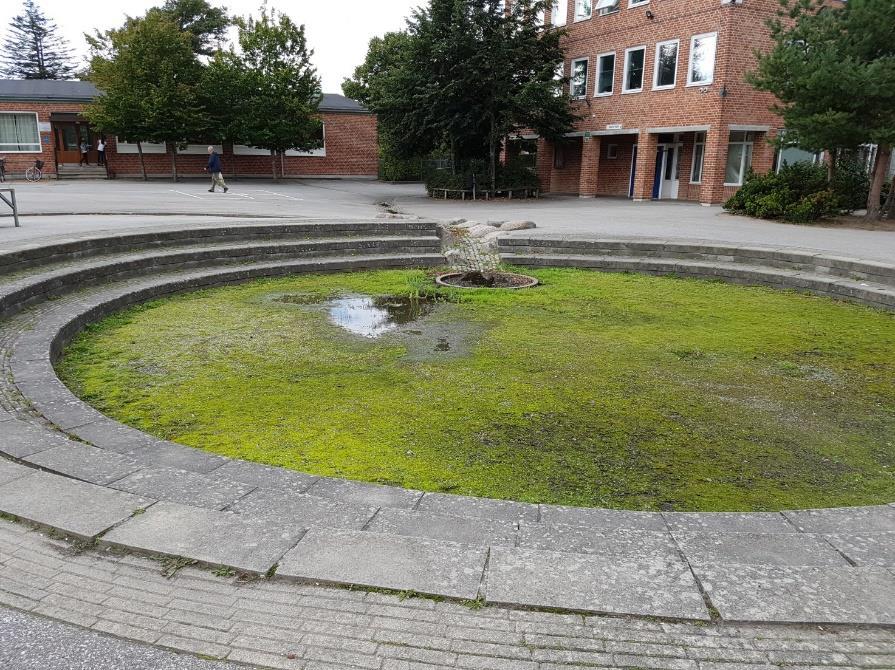 Augustenborg skole satser også på blågrønne løsninger.