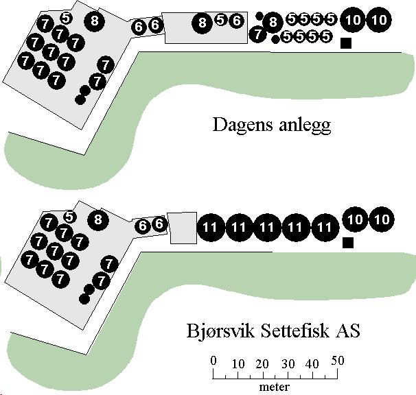 ANLEGGSBESKRIVELSE Bjørsvik Settefisk AS registreringsnummer H/L 005 ønsker nå å utvide produksjonskapasiteten til 2.500.000 sjødyktig settefisk.